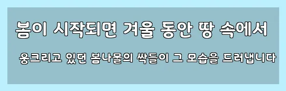  봄이 시작되면 겨울 동안 땅 속에서 웅크리고 있던 봄나물의 싹들이 그 모습을 드러냅니다