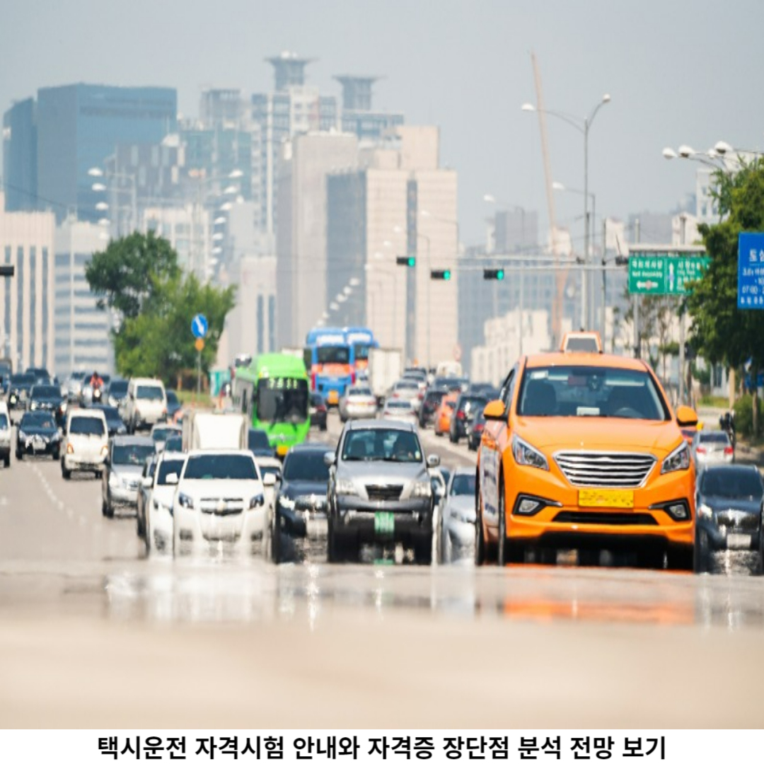 택시운전 자격시험 제도란?