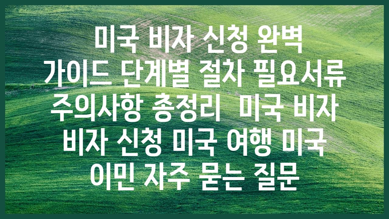  미국 비자 신청 완벽 설명서 단계별 절차 필요서류 주의사항 총정리  미국 비자 비자 신청 미국 여행 미국 이민 자주 묻는 질문