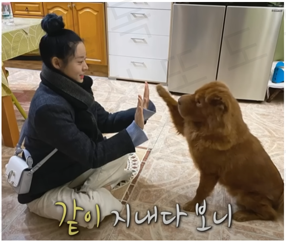 설현 강아지&#44; 베이코트 샤페이