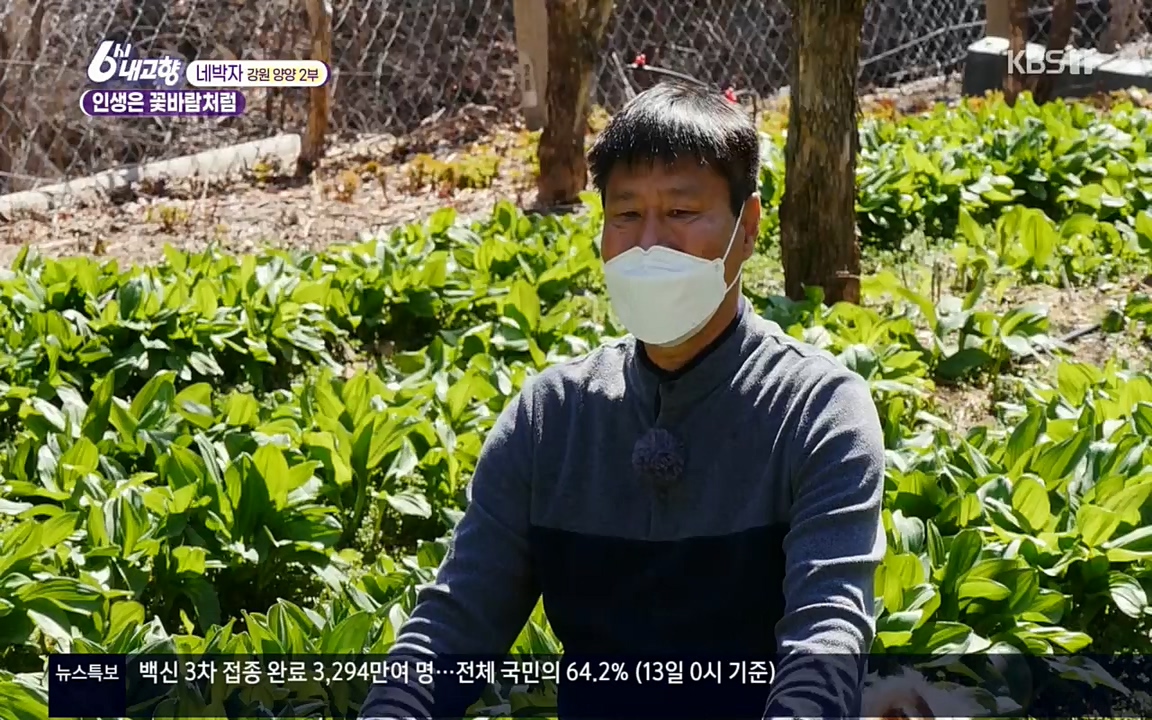 6시 내고향.E7510.220414p.H264-F1RST.mp4_20220419_185751.620.jpg