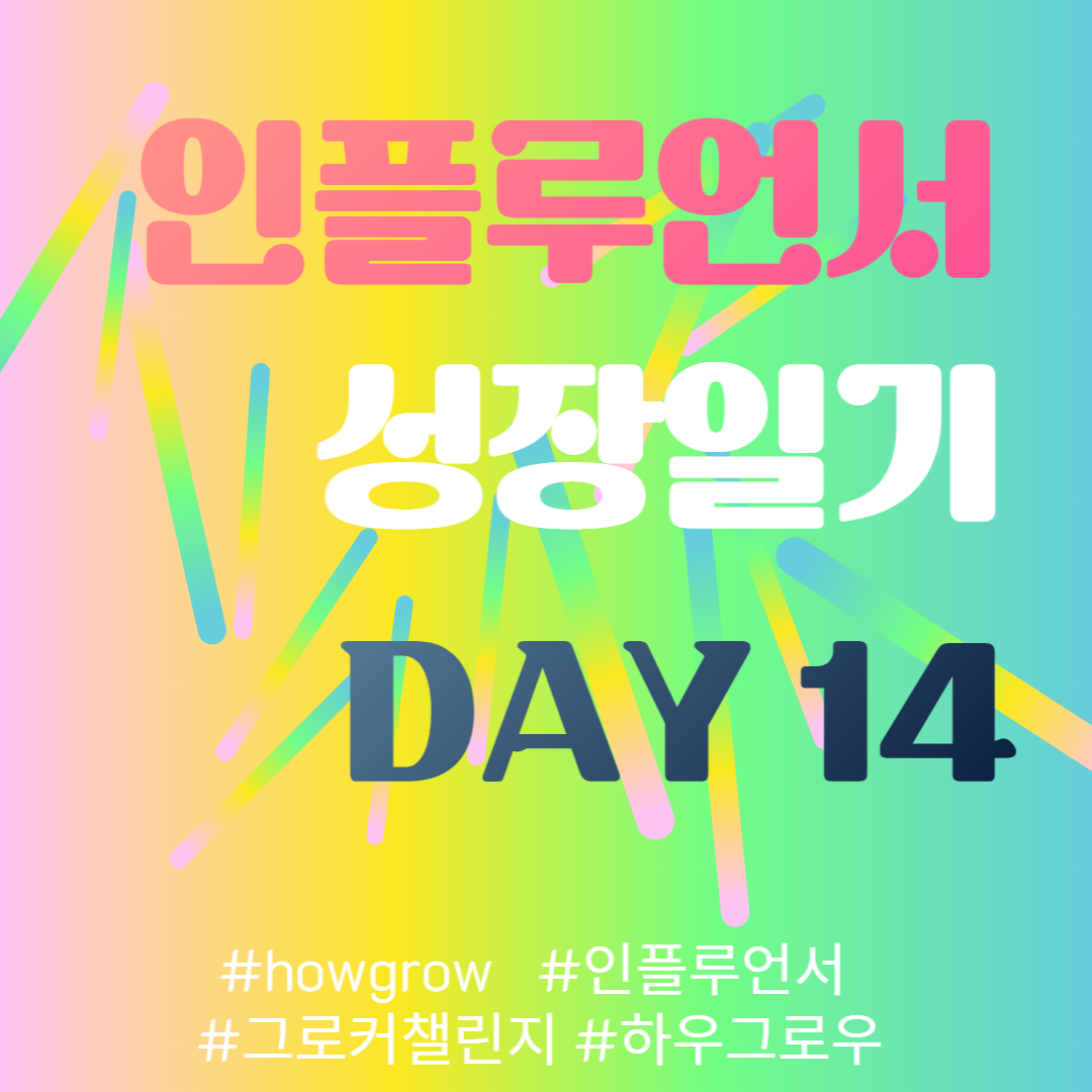  13차-인플루언서 성장일기 13일차