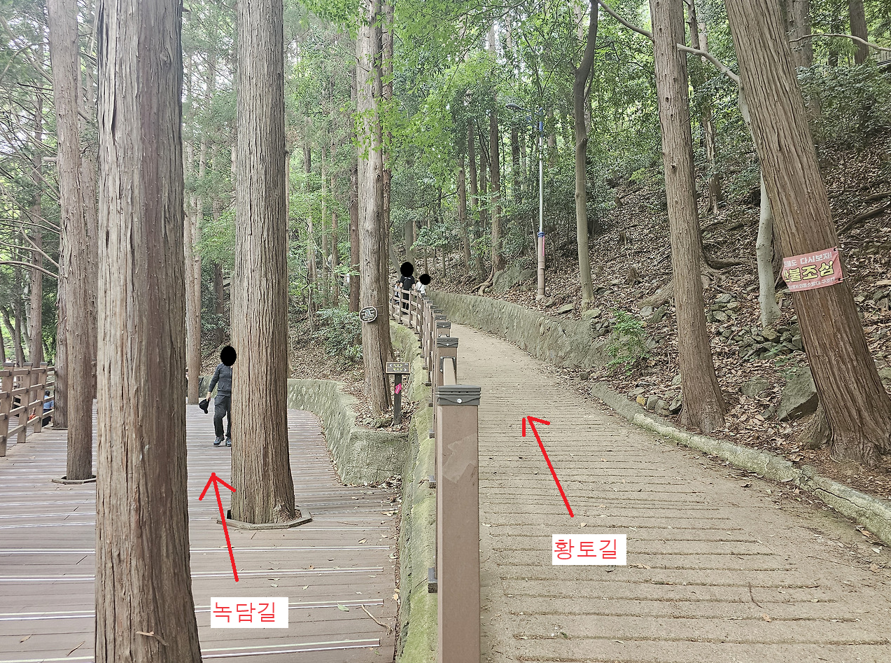 문 대표 사진