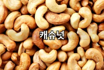 캐슈넛 효능 칼로리 섭취량_22