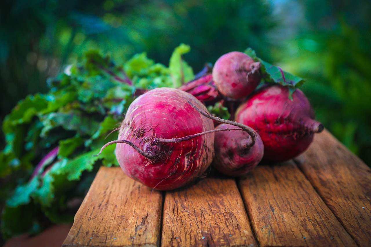 비트(beet)