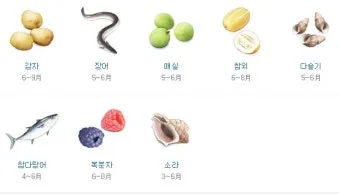 6월 제철 과일 추천 여름 과일 종류_15