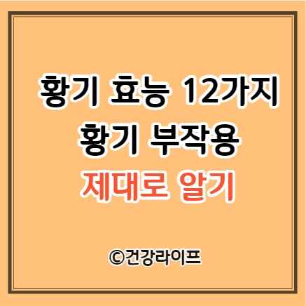 황기 효능 12가지&#44; 황기 부작용