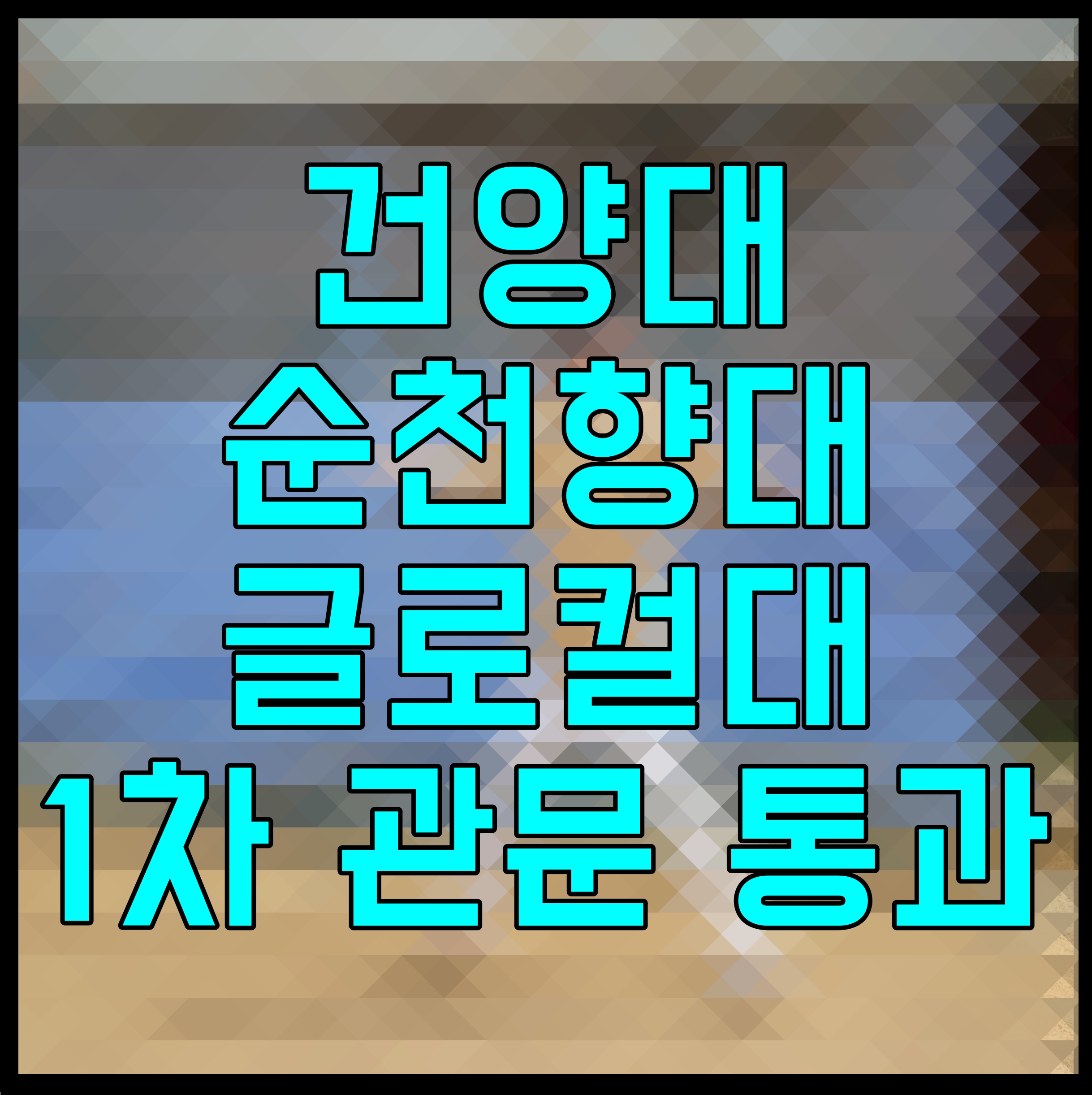  건양대 순천향대 글로컬대 1차 관문 통과