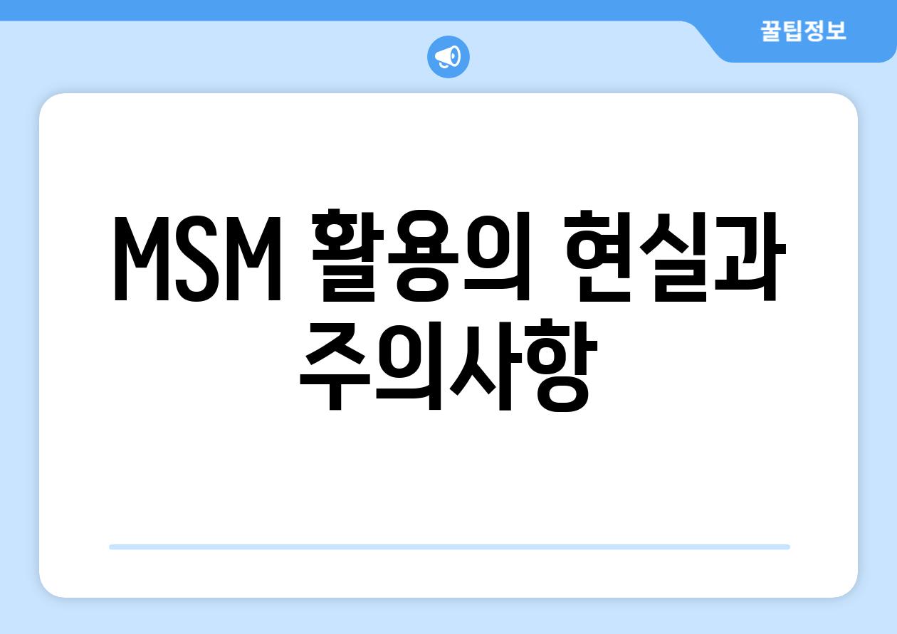 MSM 활용의 현실과 주의사항