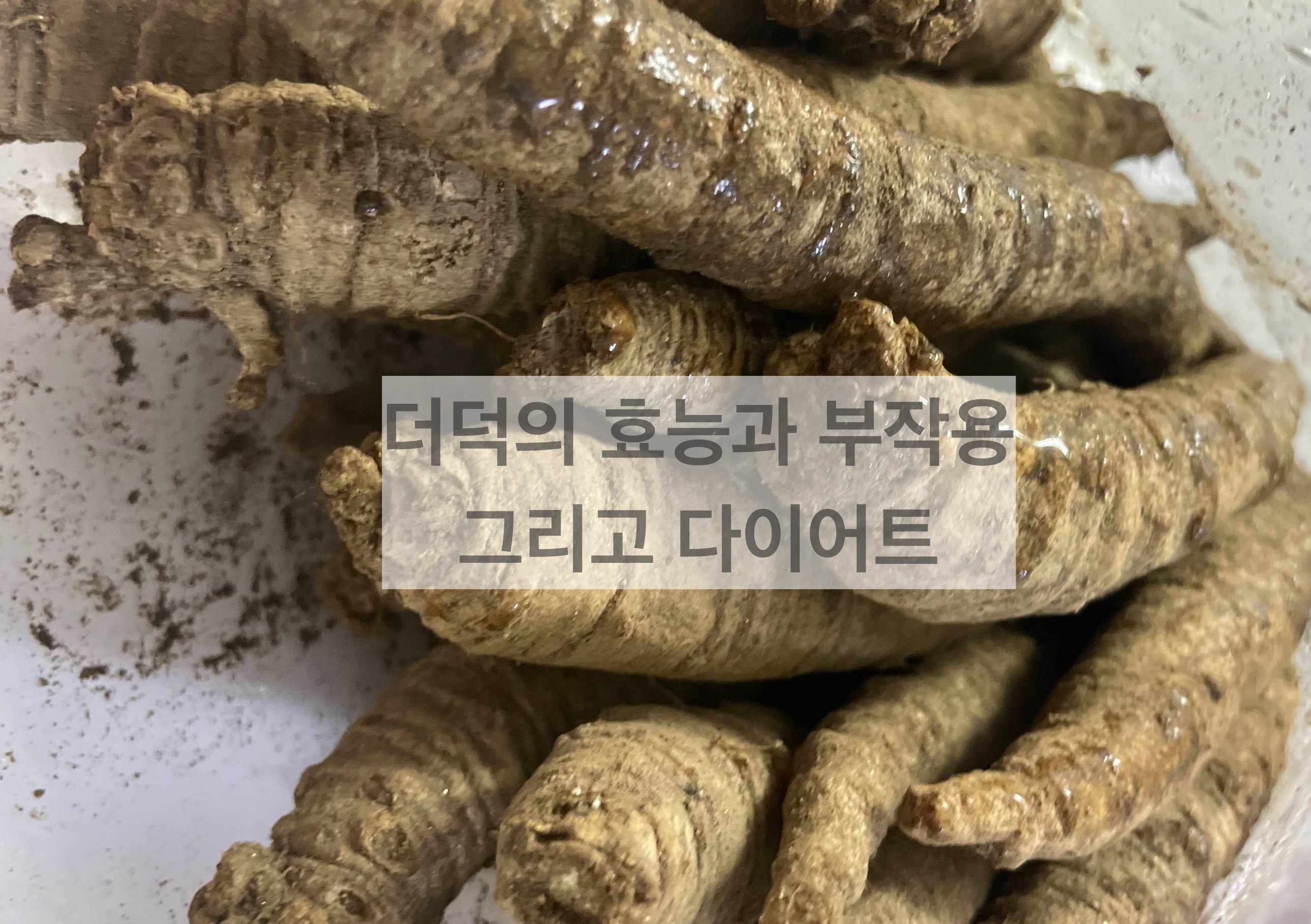 더덕의 효능과 부작용 그리고 다이어트