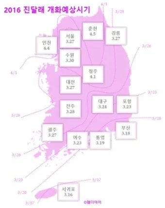 개나리 개화시기 2025 서울 경기 강원 전남 경북 제주_14