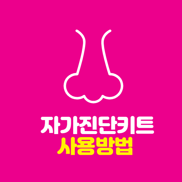  코로나 자가진단 키트 정확도 (가격및 사용법)