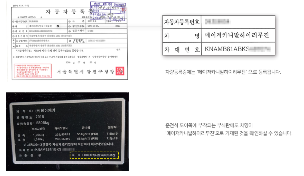 메이저카 이미지