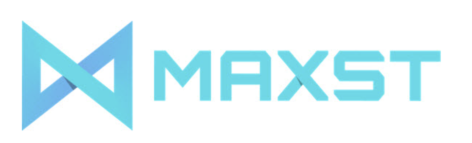  맥스트 공모청약 후기