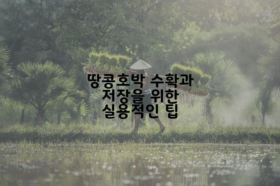 땅콩호박 수확과 저장을 위한 실용적인 팁