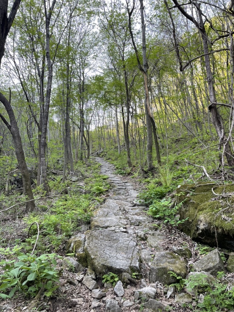 민주지산