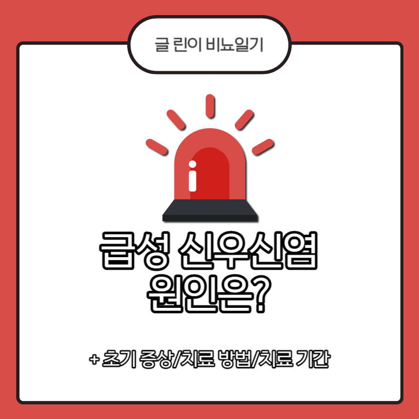  급성 신우신염 증상은?