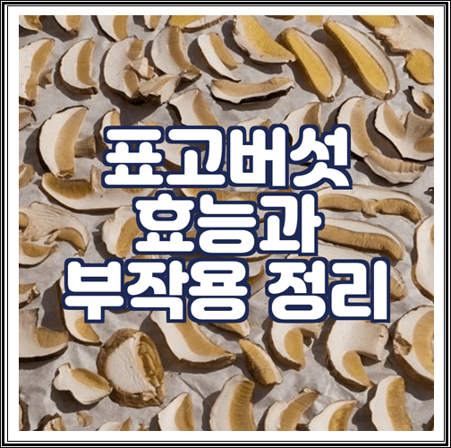  표고버섯 효능과 부작용 정리