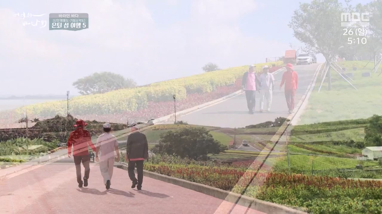 MBC 네트워크 특선 푸른백세 어영차 바다야.E1650.231127p-NEXT.mp4_20231202_171529.623.jpg