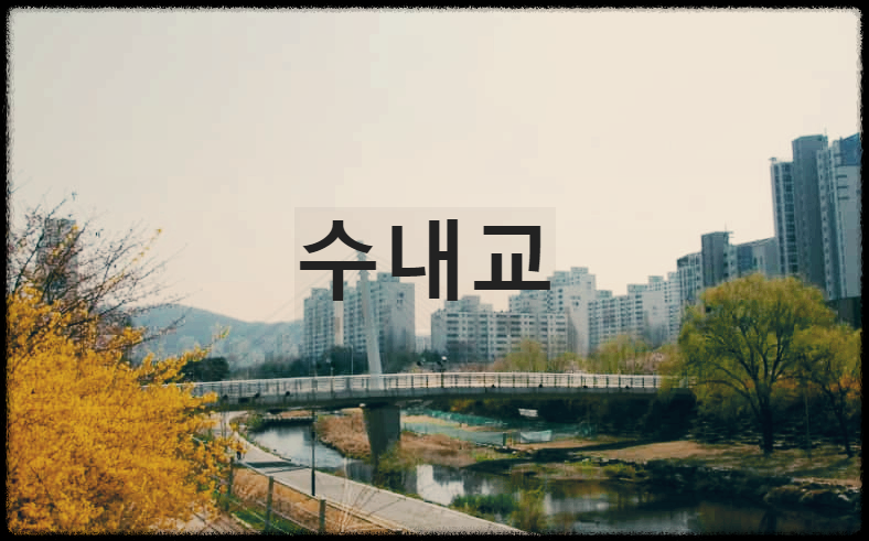  수내교 : 성남시의 중앙부를 관통하여 북류하는 탄천 상에 건설된 다리