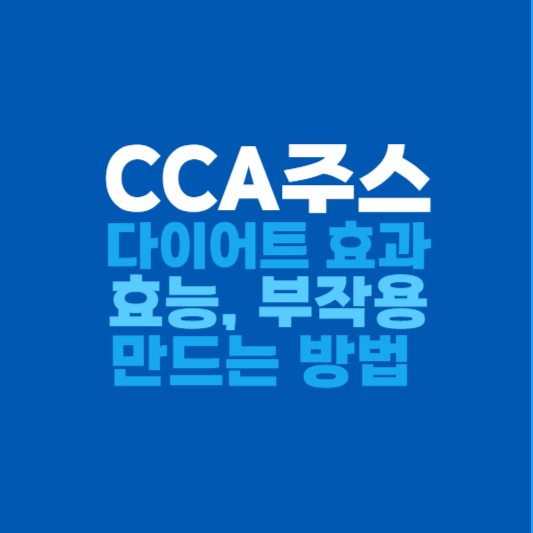 CCA주스 효능