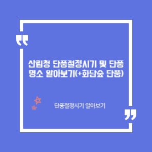 단풍시기