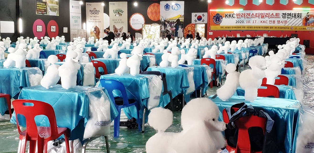 사단법인 한국바이오협회 이미지