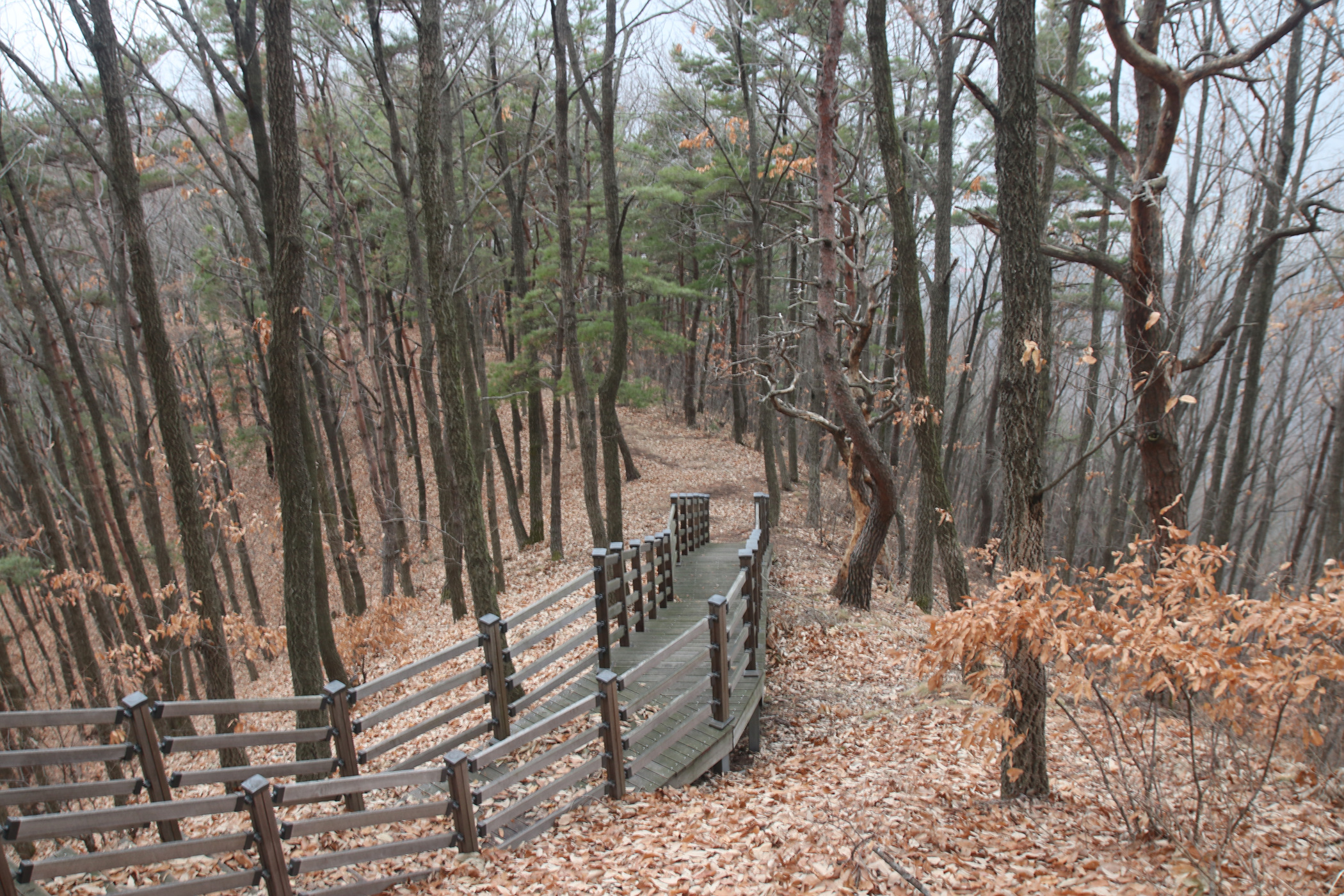 경남 의령군 국사봉 05 34