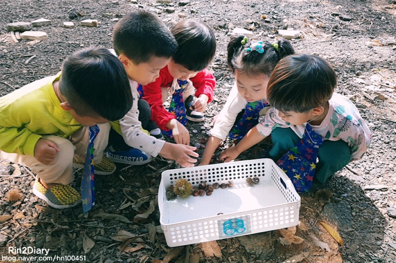 33개월 어린이집 가을놀이/일상공원/어린이집 요리활동 송편만들기 추석 민속놀이