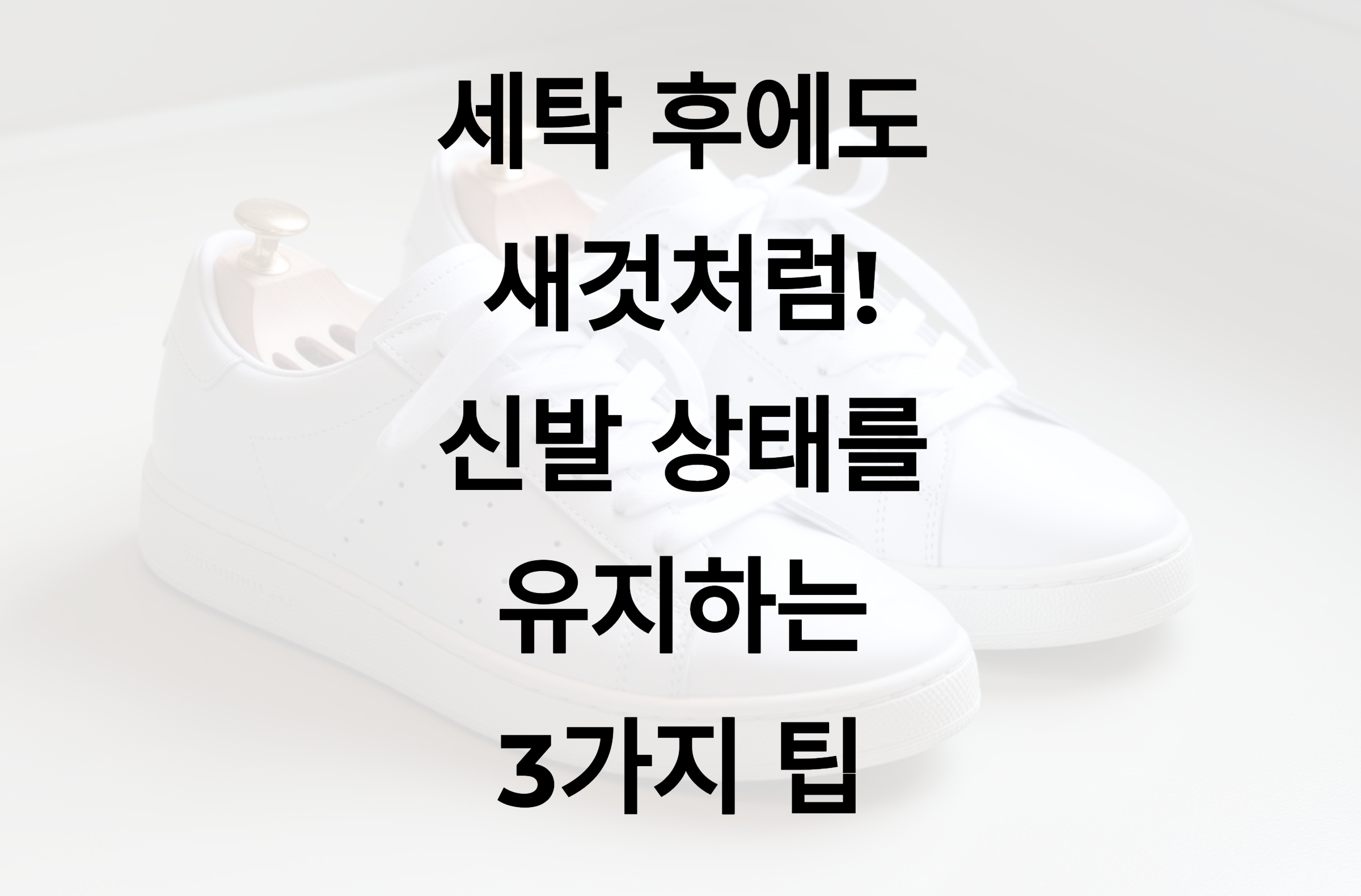 세탁 후에도 새것처럼! 신발 상태를 유지하는 3가지 팁