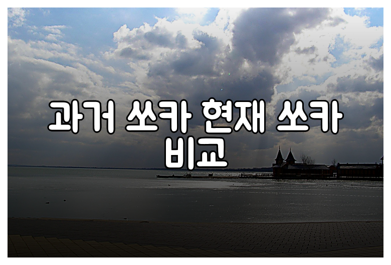 과거 쏘카 현재 쏘카 비교