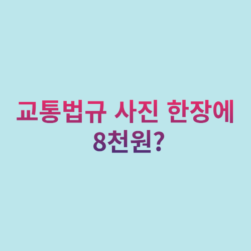  교통법규 사진 한장에 8천원?