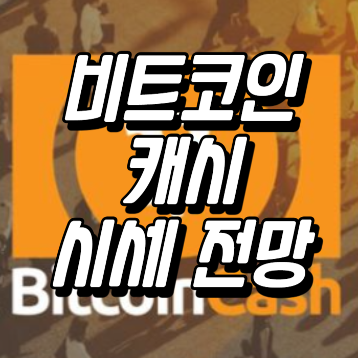 비트코인캐시 시세 전망 예측