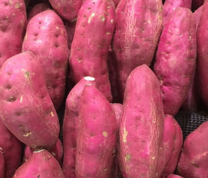  고구마(Sweet Potato) 효능 및 먹는 방법