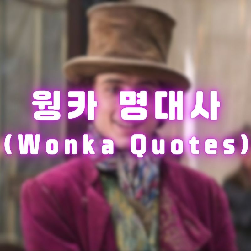 웡카 명대사 (Wonka Quotes)