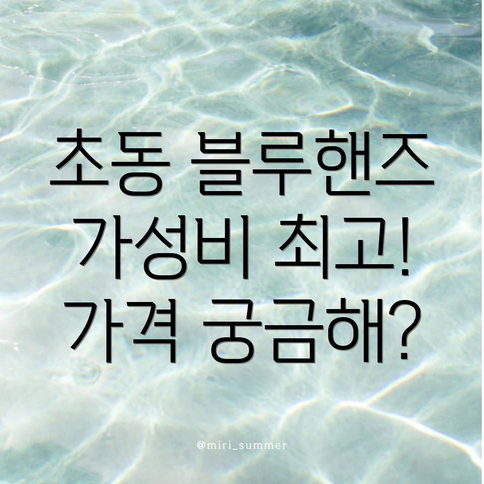 블루핸즈