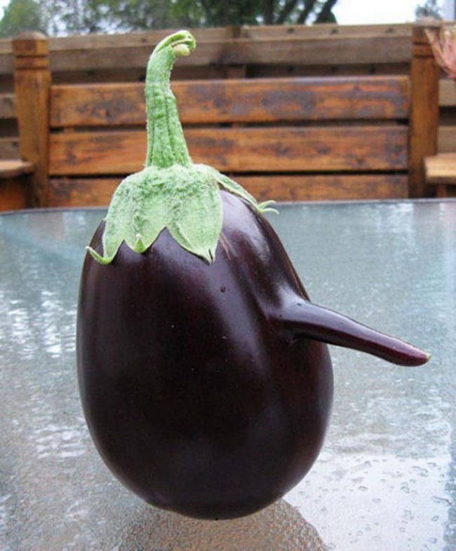 img.jpg