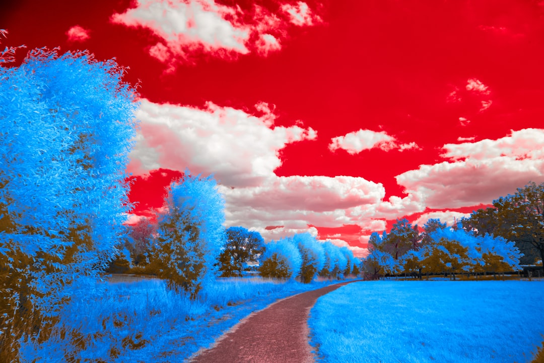 Dream Interpretation