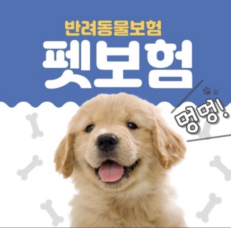  펫보험 비교/보장내용/꿀팁