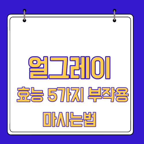  얼 그레이 효능 5가지 부작용 마시는법