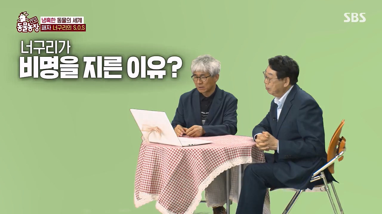 TV 동물농장.E1172.240520p-NEXT.mp4_20240519_163648.498.jpg