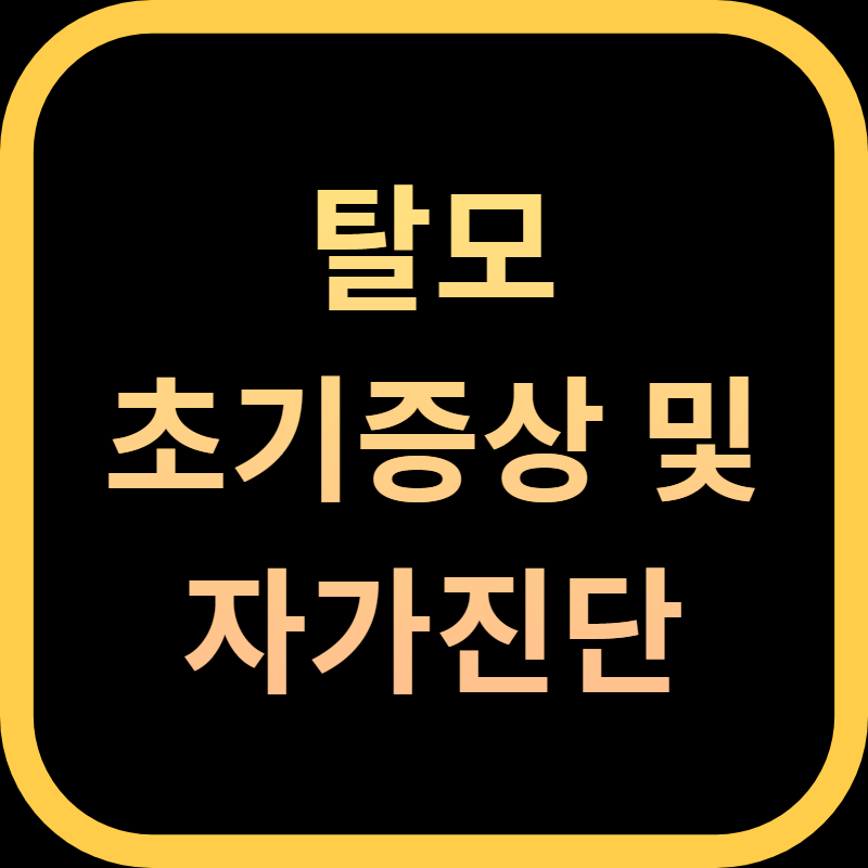 탈모 초기 증상 및 자가진단
