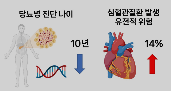 당뇨병 진단 및 관리