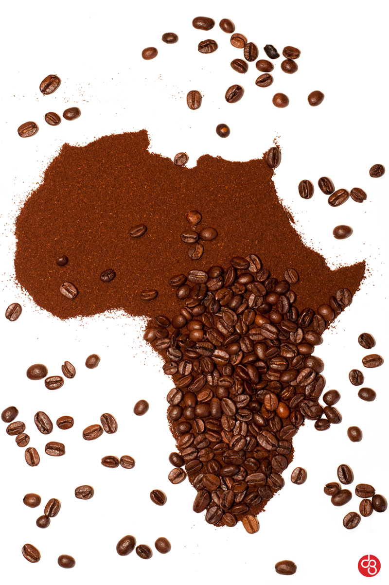 케냐 커피 특징