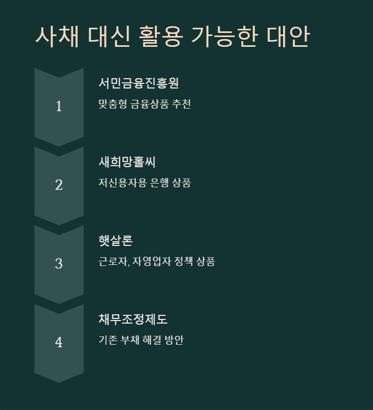 합법적인 대안들 2