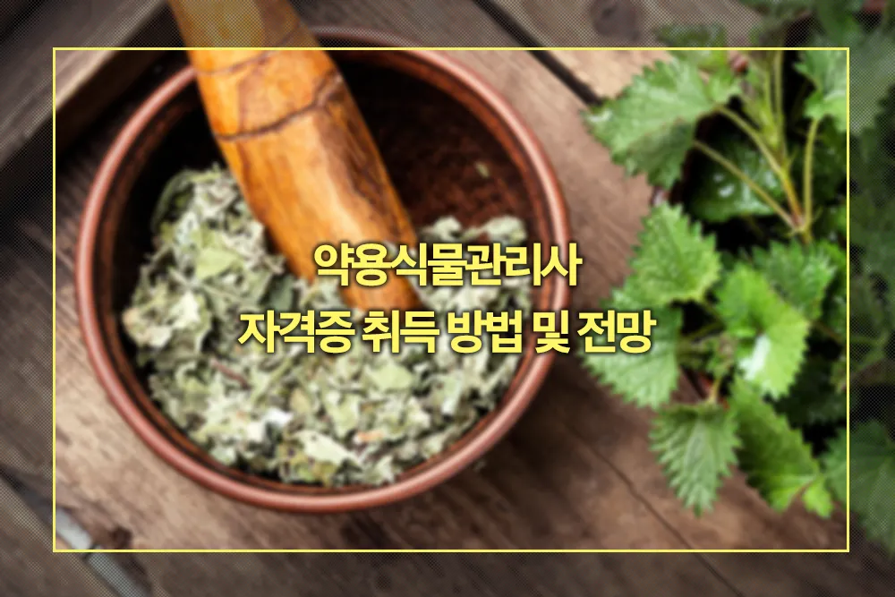 약용식물관리사 자격증 취득방법 전망