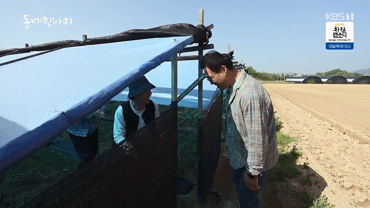 동네 한 바퀴.E274.240519p-NEXT.mp4_20240519_161942.702.jpg