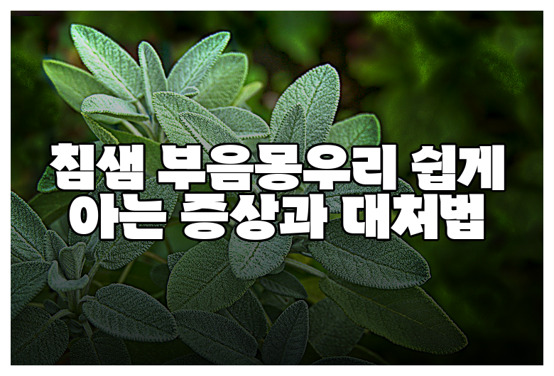 침샘 부음몽우리 쉽게 아는 증상과 대처법