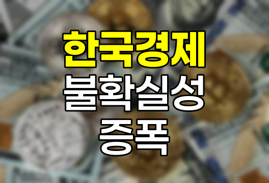 계엄령 후폭풍, 한국 경제 불확실성 증폭