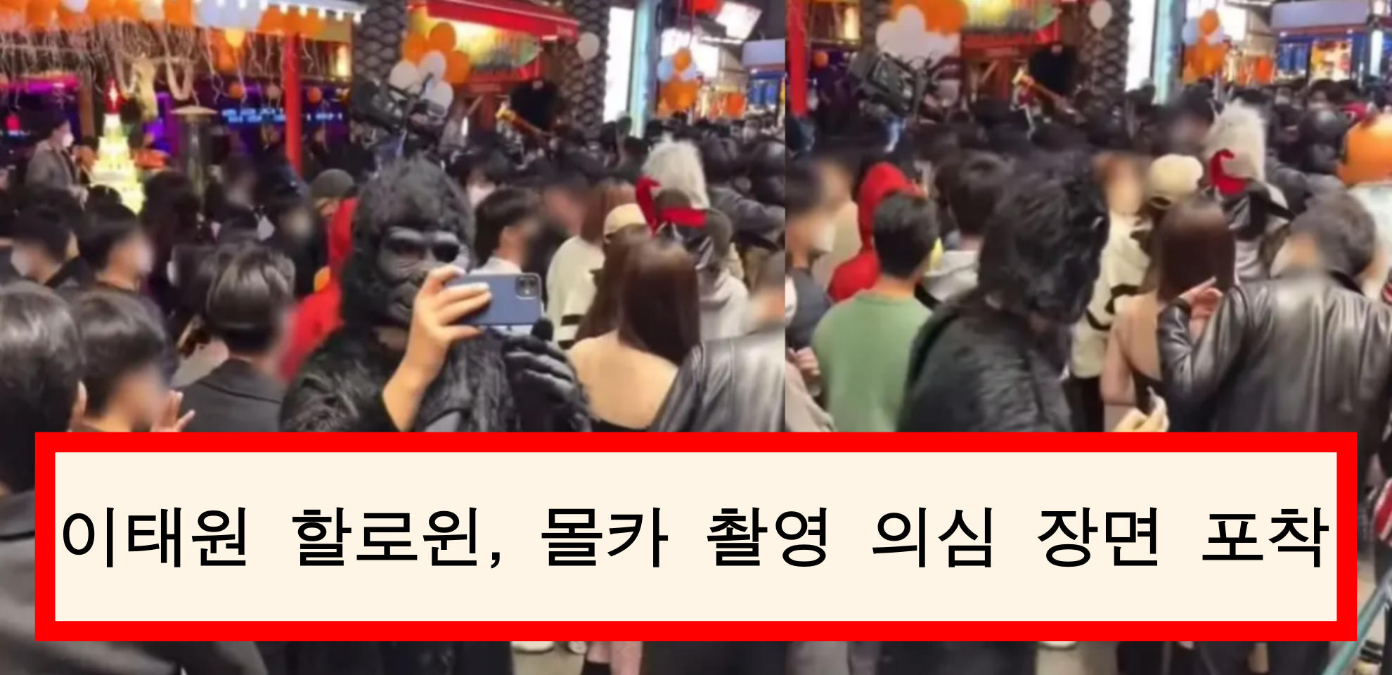  이태원 고릴라 코스프레 남성,  바니걸 뒤에서 한 끔찍한 만행